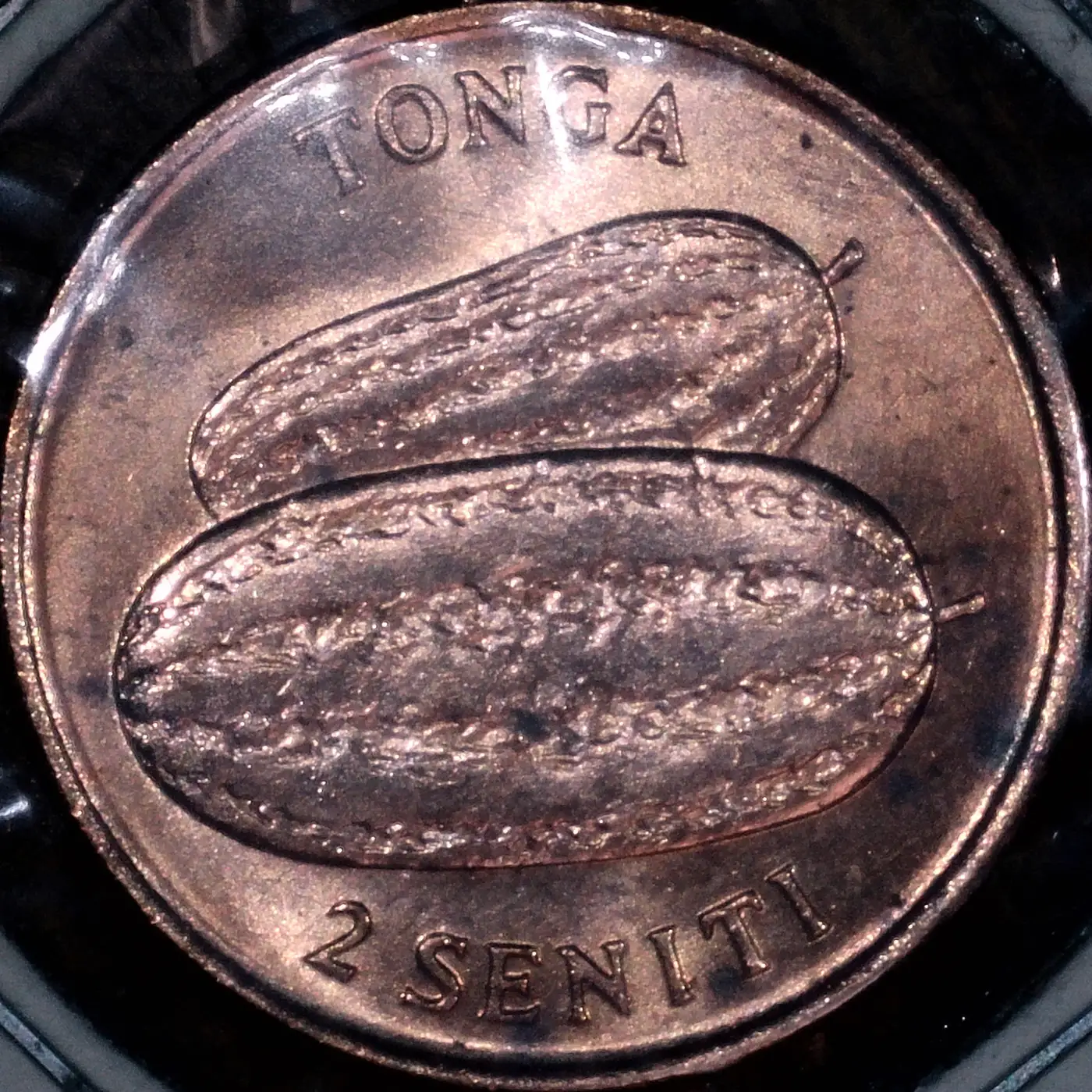 Show-Your-Coins-With-Fruit.